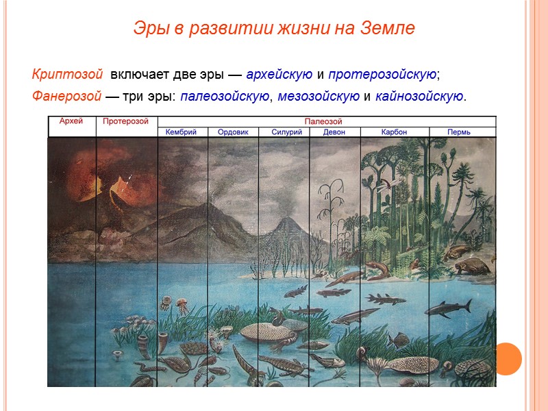 Криптозой  включает две эры — архейскую и протерозойскую;  Фанерозой — три эры: